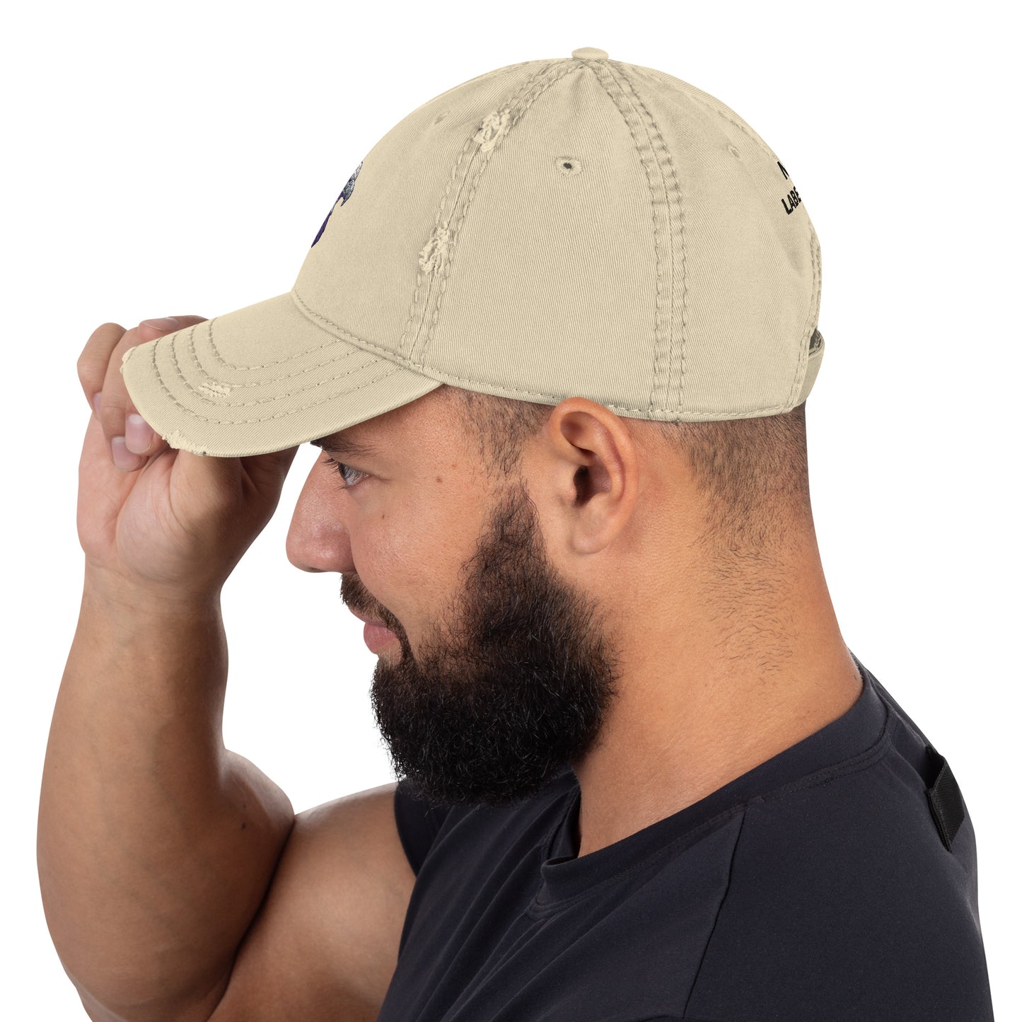 Distressed Dad Hat, Eagle