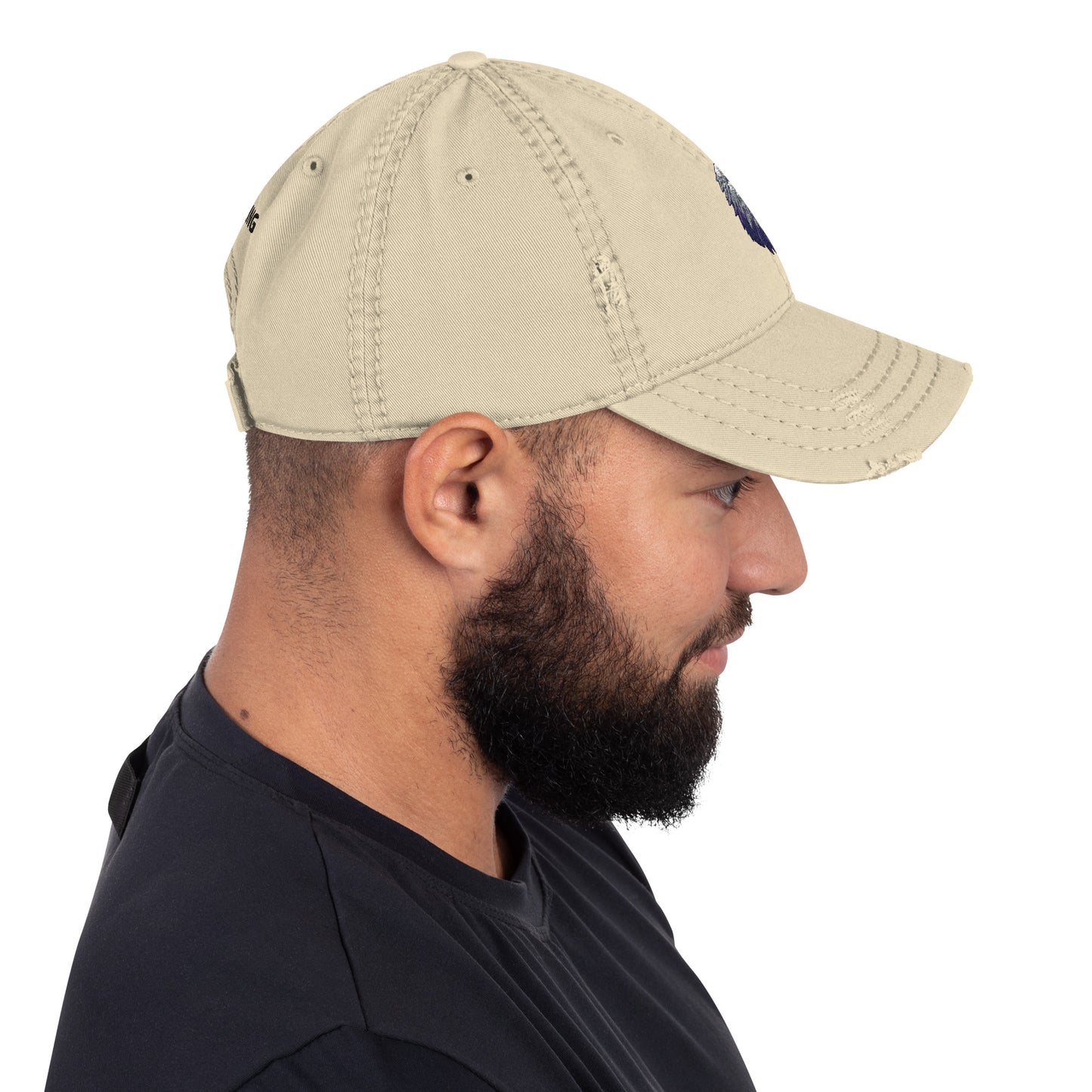 Distressed Dad Hat, Eagle