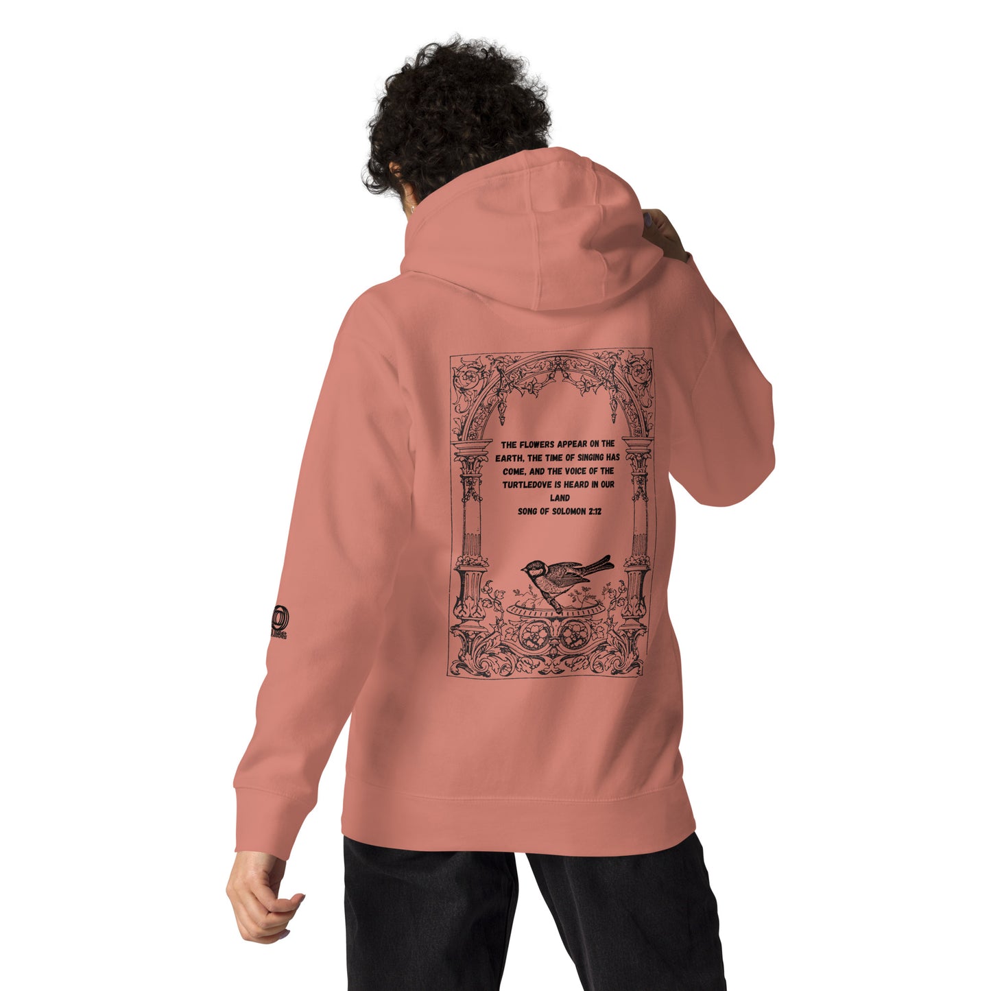 Bible Verse Quote Unisex Hoodie, Song Of Solomon - Choose From Dusty Rose, Grey, Sky Blue, White