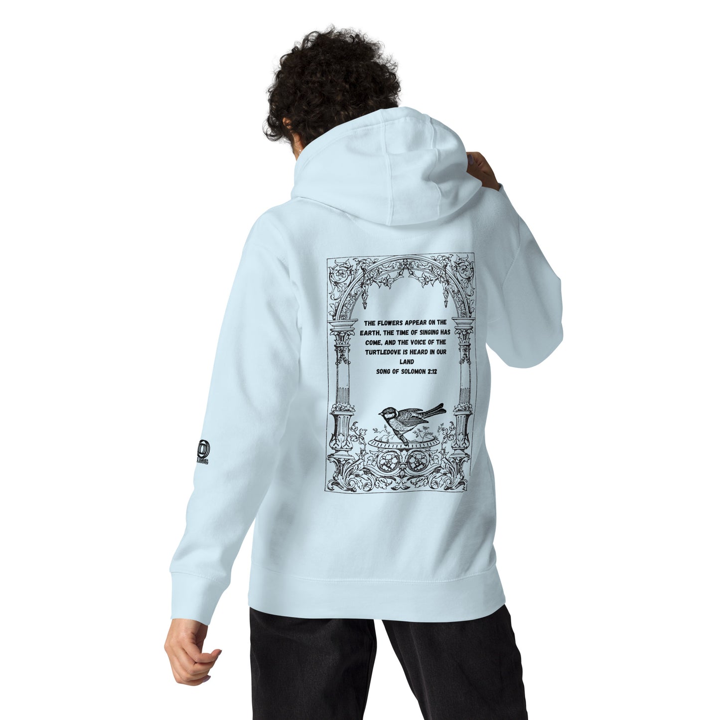 Bible Verse Quote Unisex Hoodie, Song Of Solomon - Choose From Dusty Rose, Grey, Sky Blue, White