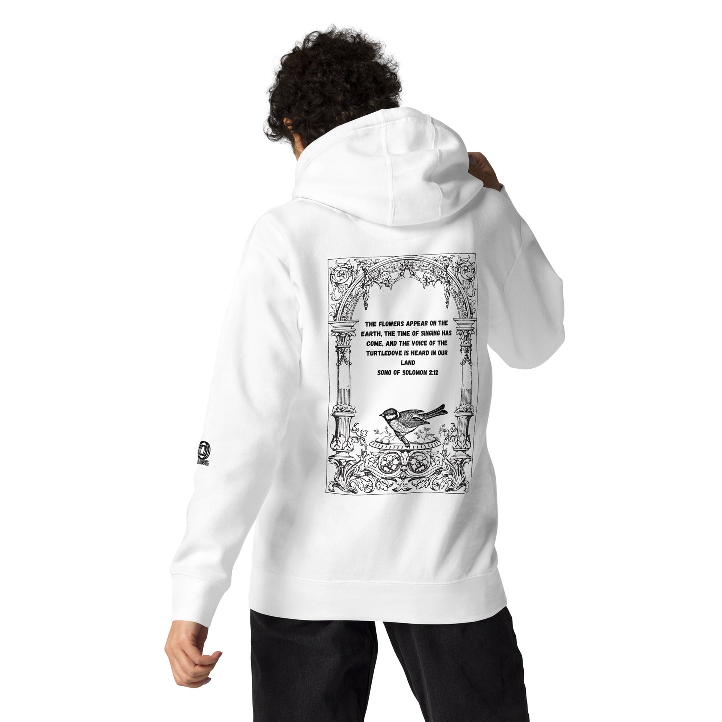 Bible Verse Quote Unisex Hoodie, Song Of Solomon - Choose From Dusty Rose, Grey, Sky Blue, White